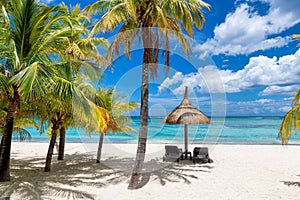 Palm trees in tropical beach and straw umbrellas and tropical sea in Paradise Mauritius island.