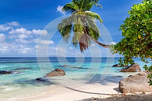 Palm trees in Tropical beach and turquoise sea in Beau Vallon Beach, Mahe, Seychelles.