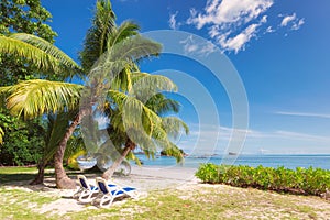 Palm trees on tropical empty beach with beach chairs