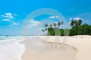 Palm trees on tropical ocean beach at sunny day