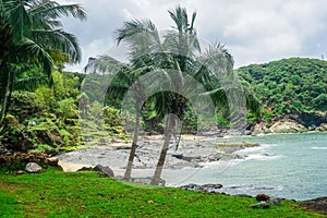 Palm trees of the tropical peninsula near the village of Gokarna photo