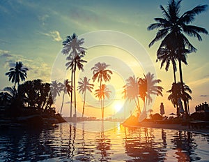 Palm trees on a tropical seaside during amazing sunset. Nature.