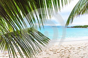 Palm trees and turquoise water in Anse Lazio