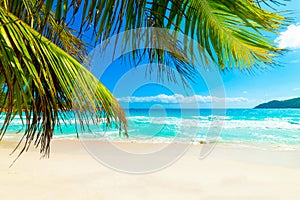 Palm trees and turquoise water in Anse Lazio beach