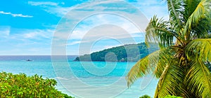 Palm trees and turquoise water in Mahe