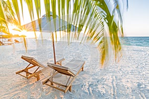 Beautiful tropical beach landscape banner. White sand and coco palms wide panorama background concept. Amazing beach scene
