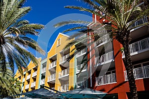 Palm Trees Umbrellas and Colorful Condos