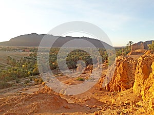 The palm trees valley in  the oasis of Figuig and the mountain