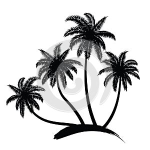 Palm trees vector