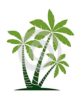 Palm Trees, vector illustration isolated on white background