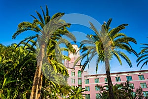 Palm trees and the Vinoy Hotel in Saint Petersburg, Florida.