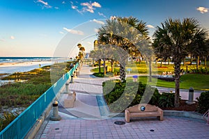 Palm trees and walkway along the beach in Daytona Beach, Florida