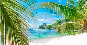 Palm trees and white sand in Baie Lazare shore