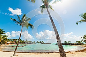 Palm trees and white sand in Bas du Fort beach in Guadeloupe