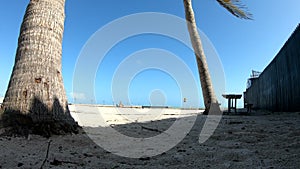 Palm trees and white sand in Higgs Beach, Key West. Florida