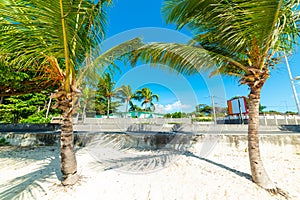 Palm trees and white sand in Raisins Clairs beach in Guadeloupe