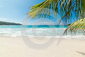 Palm trees, white sand and turquoise water in Anse Lazio beach