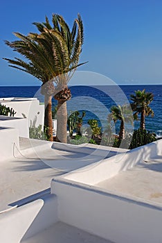 Palm trees with white wash building & sea ocean water horizon at Puerto Del Carmen, Lanzarote, Spain