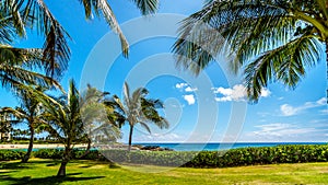 Palm trees in the wind under blue sky at the ocean