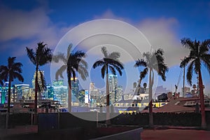 Palm trees and yachts with Downtown Miami on the background