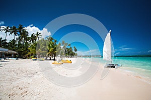 Palm and tropical beach in Punta Cana, Dominican Republic