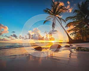 Palm and tropical beach in Punta Cana, Dominican Republic