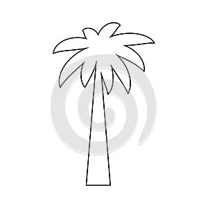 palm tropical tree set icons black silhouette illustration isolated on white