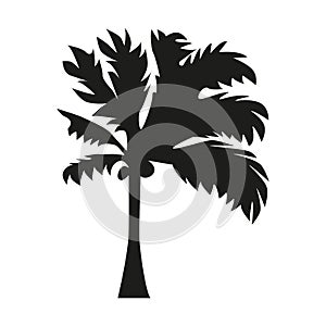 palm tropical tree set icons black silhouette illustration isolated on white