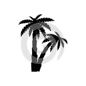 palm tropical tree set icons black silhouette illustration isolated on white