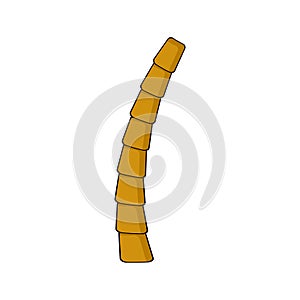Palm trunk isolated on white. Part of palmtree cartoon illustration. Stump of coco palm tree. bole of tropical coconut trees. photo