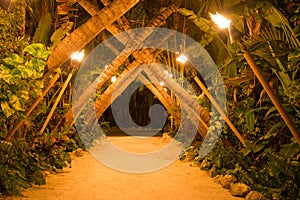 Palm tunnel