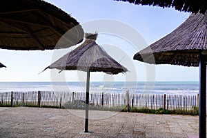 Palm umbrella on the beach in Lacanau Ocean coast france