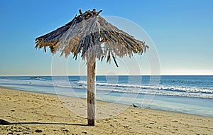 Palm umbrella on Shoreline at Thalia Street Beach in Laguna Beach, California.