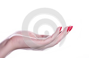 Palm up woman hand with French manicure nails