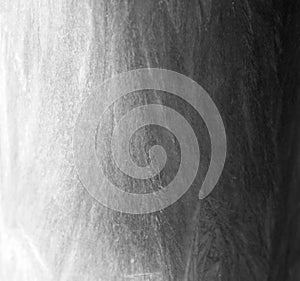 Palm wax grey texture light and dark shadow background