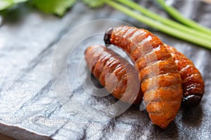 Palm weevil larvae in brown plate on the table.