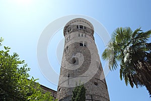 Palma and bell tower in Ravenna. Italy