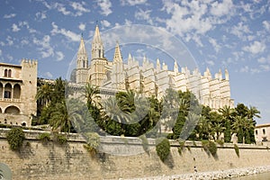 Palma Cathedral