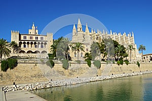 Palma Cathedral