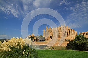 Palma Cathedral