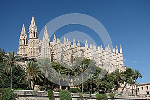 Palma Cathedral