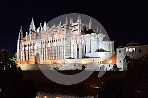 Palma Cathedral at night in Majorca