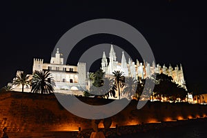 Palma Cathedral at night