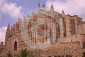 Palma Cathredral