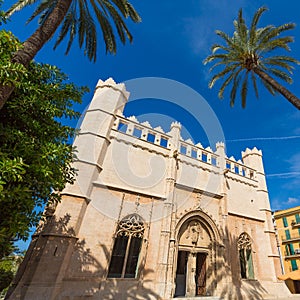 Palma de Mallorca Lonja Majorca gothic photo