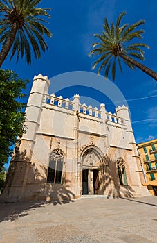 Palma de Mallorca Lonja Majorca gothic photo