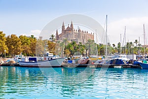 Palma de Mallorca port marina Majorca Cathedral