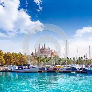 Palma de Mallorca port marina Majorca Cathedral