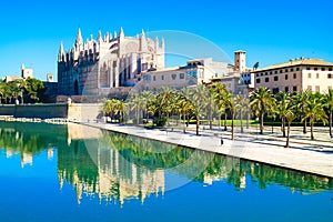 Palma de Mallorca, Spain. La Seu - the famous medieval gothic ca photo