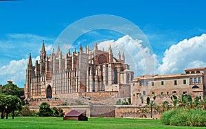 Palma, Mallorca, Majorca, Balearic Islands, Spain, La Seu, cathedral, church, Saint Mary, park, skyline, palm, tree